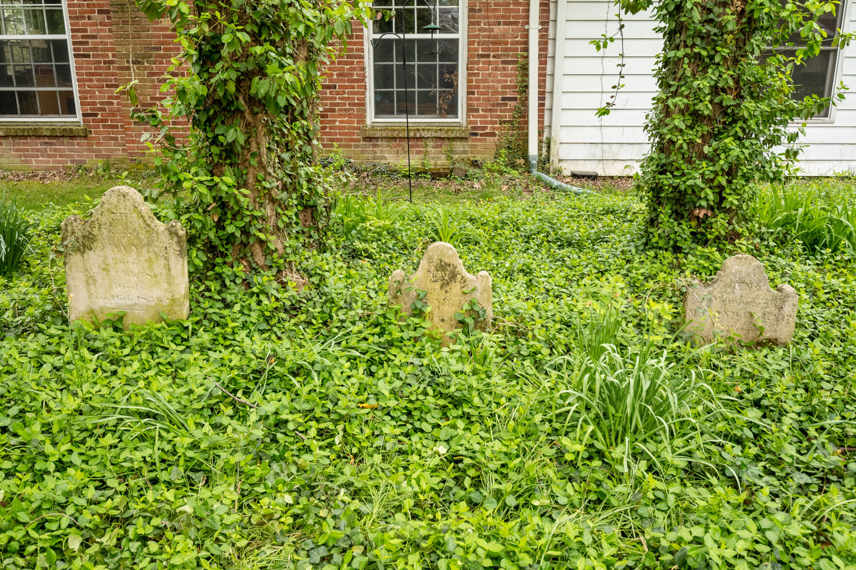 P2675418.jpg